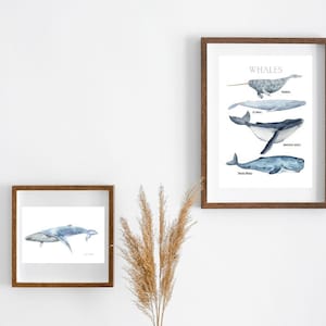 3 x natural whale CLASSROOM DECOR| beachy wall art |