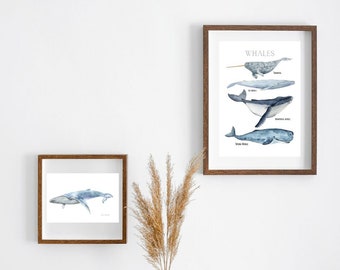 3 x natural whale CLASSROOM DECOR| beachy wall art |