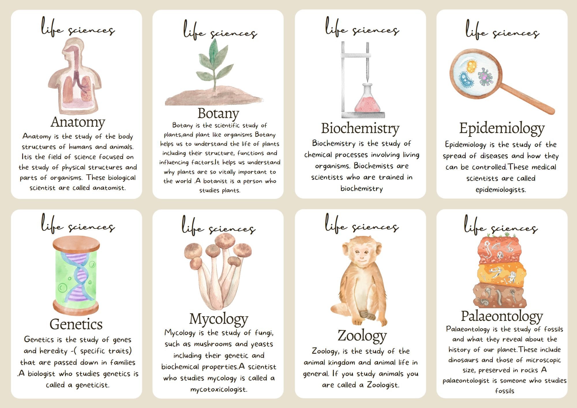 Science Visual Card Science Flash Cards - Etsy