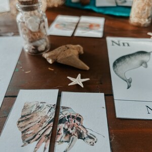 May include: Two watercolor illustrations of hermit crabs on white card stock. The illustrations are part of a set of alphabet cards. The letter "N" is visible on a separate card in the background.