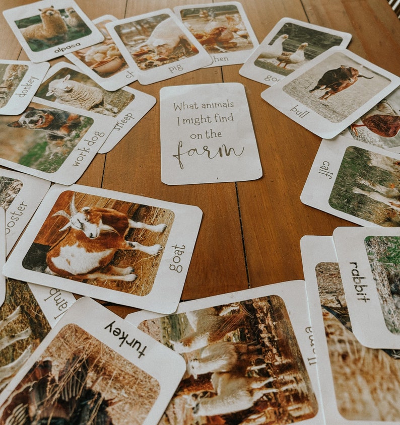 May include: A set of flashcards featuring farm animals, including a goat, sheep, donkey, alpaca, pig, hen, goose, bull, calf, rabbit, and turkey. The cards are laid out on a wooden table with a card in the center that reads "What animals I might find on the farm".