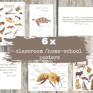 6 x KLASSENZIMMER Poster | charlotte Mason | natur heimschule
