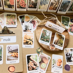 reggio - inspired FRUIT and its trees FLASH CARDS