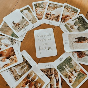 Cartes de vocabulaire ANIMAUX DE FERME inspirés de REGGIO - montessori - apprentissage précoce - wildschool