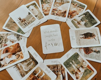 REGGIO inspired FARM ANIMAL vocabulary flashcards- montessori - early learning- wildschool