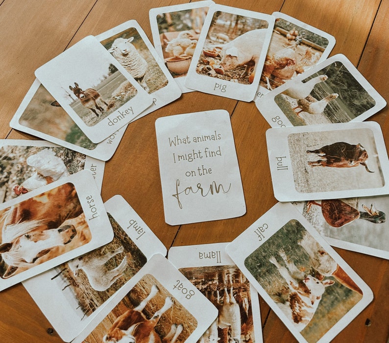 May include: A set of flashcards with images of farm animals, including a donkey, pig, goose, bull, llama, goat, calf, horse, and lamb. The cards are white with brown text that reads "What animals I might find on the farm".
