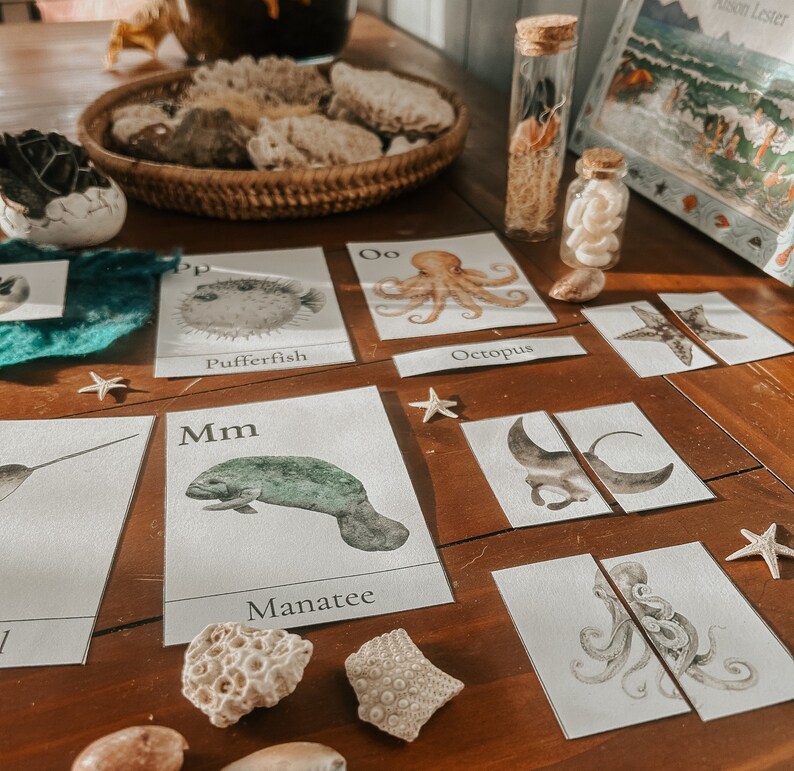 May include: A set of educational flashcards featuring various sea creatures, including a pufferfish, octopus, manatee, and a narwhal. The cards are white with black lettering and colorful illustrations. The cards are arranged on a wooden table with seashells and starfish scattered around.