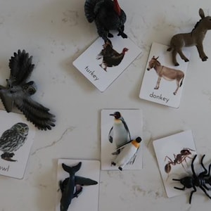 64 mini-cartes mémoire représentant différentes espèces d'animaux - Montessori- Reggio Emilia- VRAIS PHOTOS