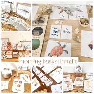 morning basket BUNDLE - nature inspired