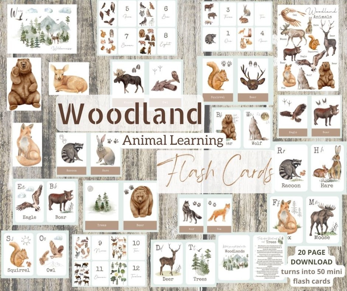 WOODLAND ANIMALS Flash Cards Name&number Match Etsy