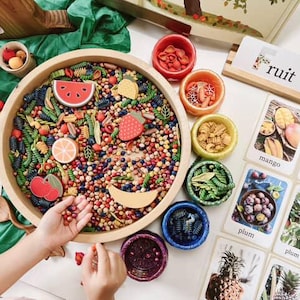 reggio - inspired FRUIT and its trees FLASH CARDS