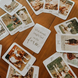 May include: A set of flashcards featuring farm animals, with images and names for each animal. The cards are on a wooden table. The text on the cards reads: "donkey", "sheep", "chir", "oster", "work dog", "What animals I might find on the farm", "Ilama", "goat", "Pig", "Ten", "goc", "bull".