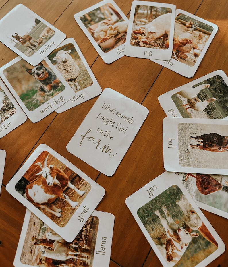 May include: A set of flashcards featuring farm animals, with images and names for each animal. The cards are on a wooden table. The text on the cards reads: "donkey", "sheep", "chir", "oster", "work dog", "What animals I might find on the farm", "Ilama", "goat", "Pig", "Ten", "goc", "bull".