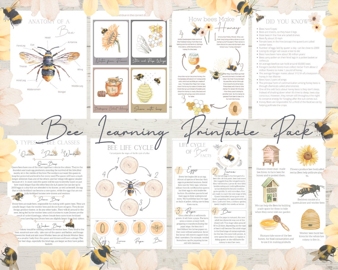 Natural Bee Study Printable Pack of 12 - Etsy