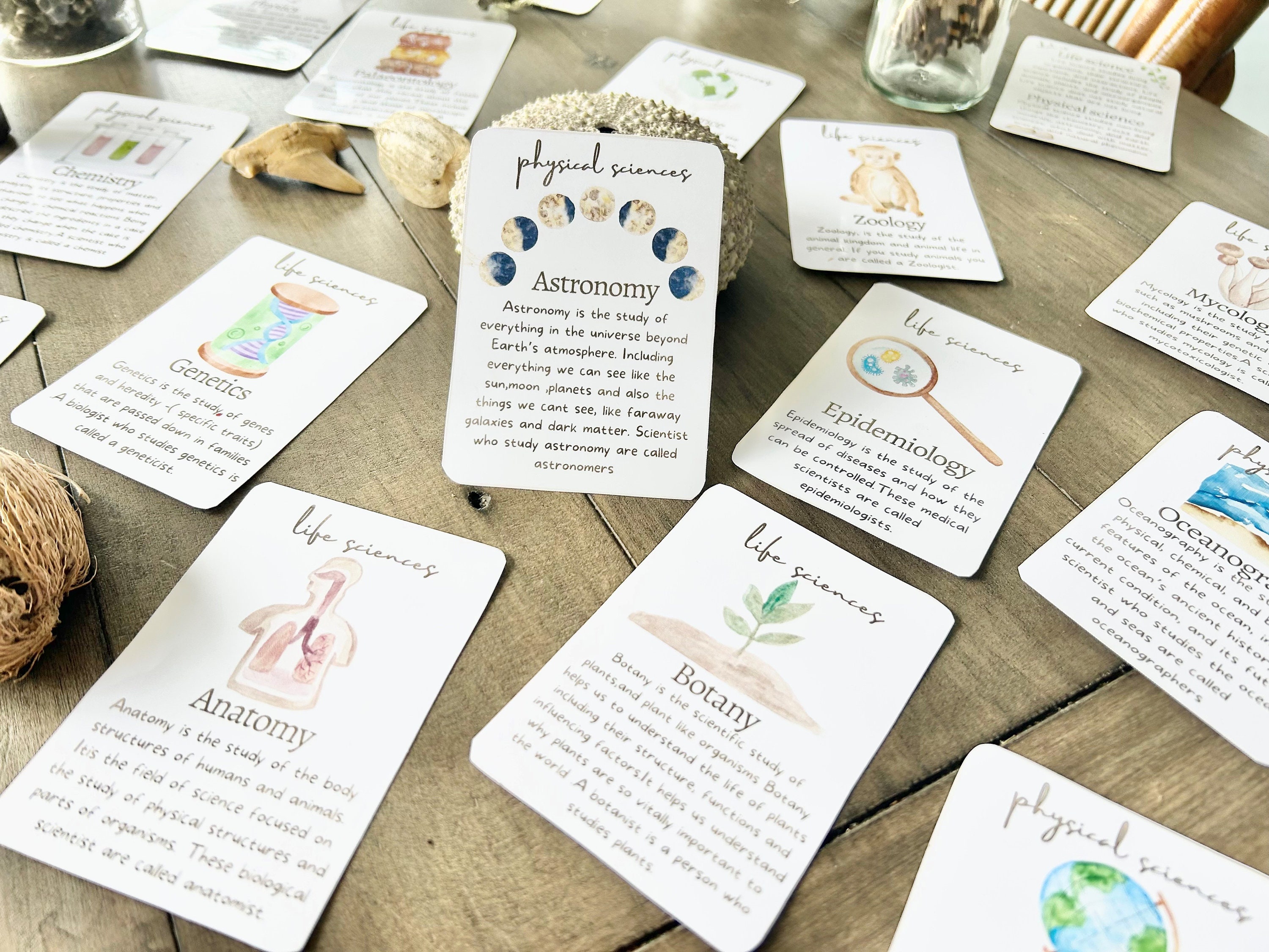 Science Flash Cards - Etsy