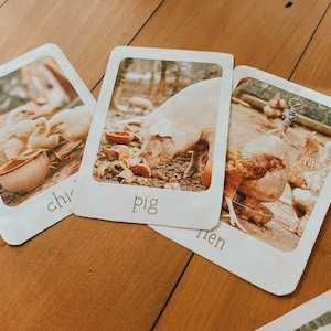 May include: Three flash cards with images of farm animals. The first card shows two chicks, the second card shows a pig, and the third card shows a hen. The words "chick", "pig", and "hen" are written below each image.