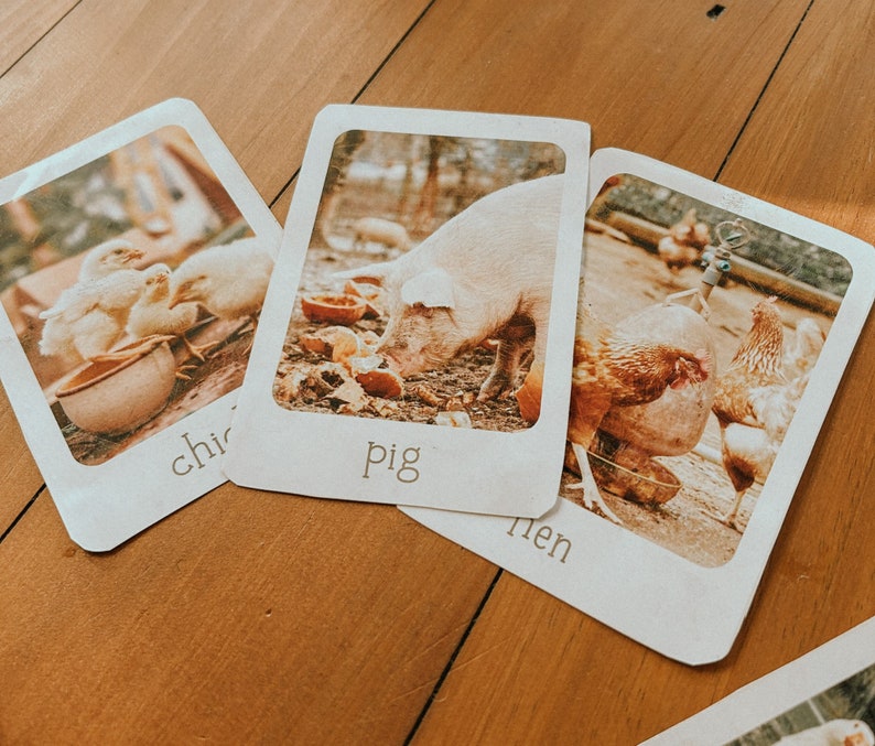 May include: Three flash cards with images of farm animals. The first card shows two chicks, the second card shows a pig, and the third card shows a hen. The words "chick", "pig", and "hen" are written below each image.
