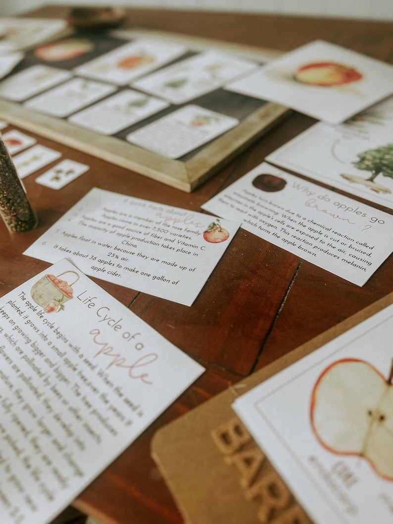Pu&ograve; includere: Un set di schede educative sulle mele con illustrazioni e testo. Le schede includono informazioni sul ciclo di vita di una mela, perch&eacute; le mele diventano marroni e fatti sulle mele.