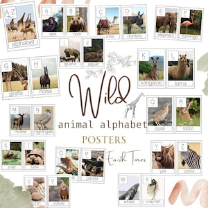 WILDSCHOOL animal alphabet cards REGGIO