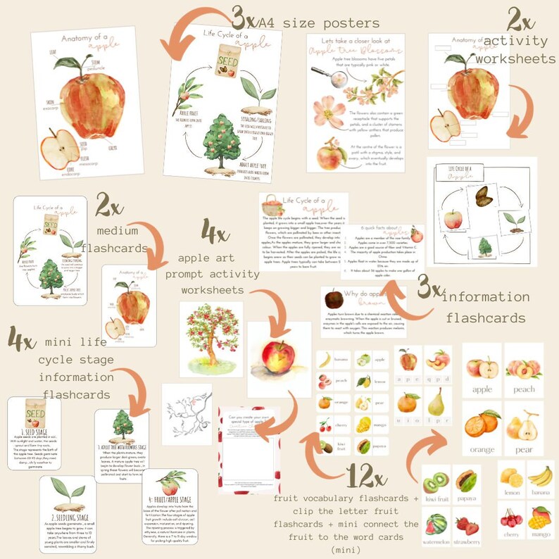 Pu&ograve; includere: Un set di risorse educative stampabili per insegnare sulle mele. Le risorse includono poster, flashcard e fogli di attivit&agrave;. Le illustrazioni presentano dipinti ad acquerello di mele, meli e fiori di melo. Il testo include le parole "Anatomia di una mela", "Ciclo di vita di una mela", "Fiori di melo", "Perch&eacute; le mele crescono sugli alberi?", "Seme", "Fase di piantina", "Fase di fruttificazione", "Fase di mela matura", "Fogli di attivit&agrave; di arte di mela", "Mini flashcard di informazioni sul ciclo di vita", "Flashcard medie", "Flashcard di informazioni", "Flashcard di vocabolario di frutta", "Flashcard di ritaglio delle lettere di frutta", "Mini flashcard di collegamento della frutta alle parole (Mini)", "Mela", "Pesca", "Arancia", "Pera", "Frutto del kiwi", "Papaia", "Limone", "Banana", "Anguria", "Fragola", "Ciliegie", "Mango".