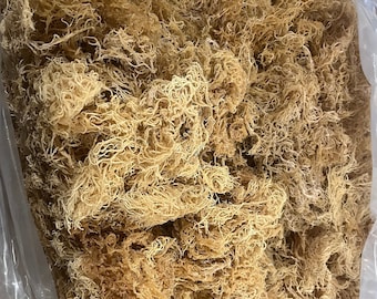 Organic Wildcrafted Raw Sea Moss Gold (Sourced from St. Lucia) Bulk/Wholesale (FREE SHIPPING)