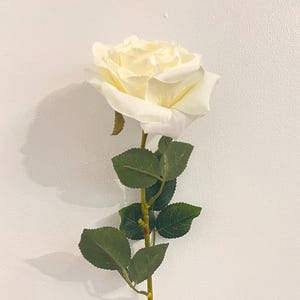Puede incluir: Una sola rosa artificial con una gran flor de color blanco crema. La rosa tiene varias hojas verdes y un tallo largo y delgado. El tallo es de color marrón claro.