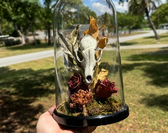 replica of a red fox skull