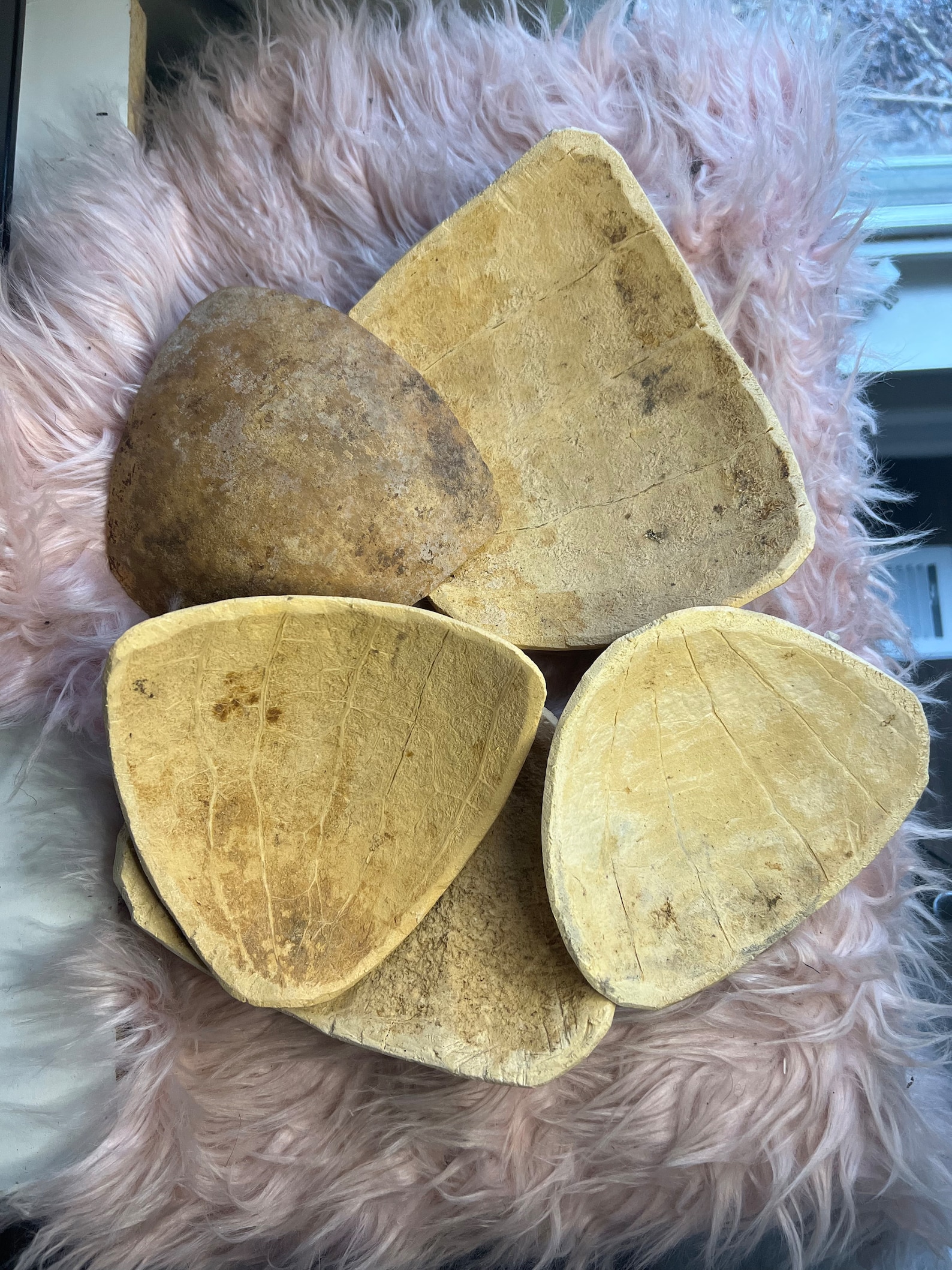 Plastic/Ceramic Cutters