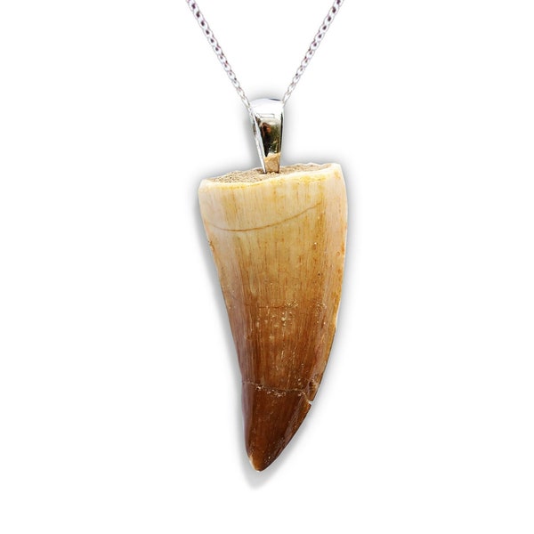 Mosasaur Fossil Pendant