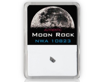 Véritable météorite de roche lunaire - Moyenne