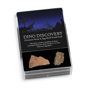 Dinosaurier Fund Meteorit & Fossil Geschenkpackung