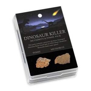 Pacote de presente de meteorito e fóssil assassino de dinossauros