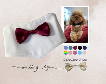Dog wedding bandana | Wedding dog collar with bow