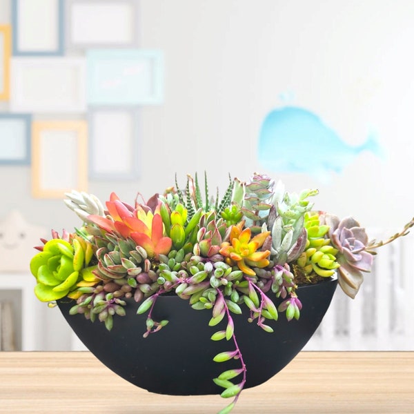Dining Table Plant Centerpiece - Etsy