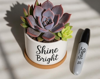 Mini Desk Plant Wellness Package Custom Plant Gift in Ceramic Pot Live Succulent Gift Feel Better Uplifting Self Care Low Light Office Decor