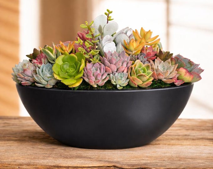 Large Succulent Centerpiece Table Arrangement In Oblong Bowl Statement Home Or Wedding Decor