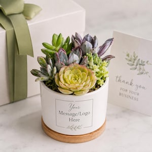 May include: A white ceramic planter with a wooden base containing a variety of green and purple succulents. The planter features a square border with the text Your Message/Logo Here. A gift box with a green ribbon and a thank you card are present.