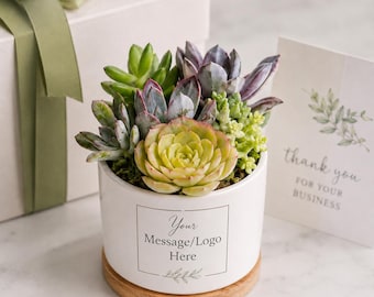 Custom Pots under $30