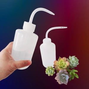May include: Two white plastic squeeze bottles with curved spouts, one held in a hand. The bottles are filled with a clear liquid. A small arrangement of succulents in shades of green, pink, and purple is in the background.