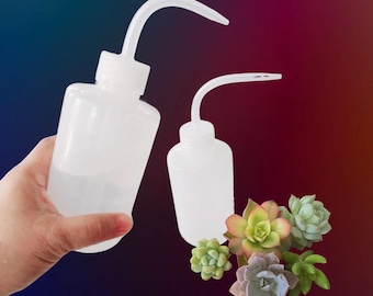 Succulent Watering Bottle with Mini Succulent Cuttings DIY Plant Kit Indoor Gardening Tool Gift for Plant Lover Easy Care Propagation