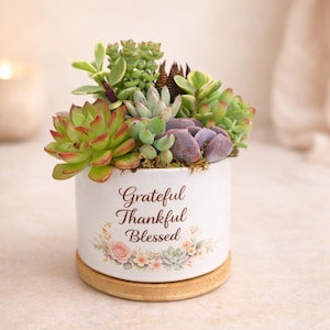 May include: A white ceramic planter with the words "Grateful Thankful Blessed" and a floral design. The planter holds a variety of succulents in shades of green, red, and purple. The planter sits on a round wooden base.