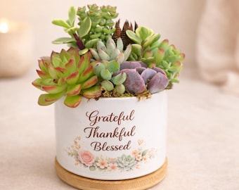 Succulent Arrangement Thinking of You Gift Get Well Soon Sympathy Gift for Mom Grandma Gift
