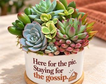 Friendsgiving Gift for Hostess Thanksgiving Host Gift Live Succulent Arrangement Funny Plant Gift