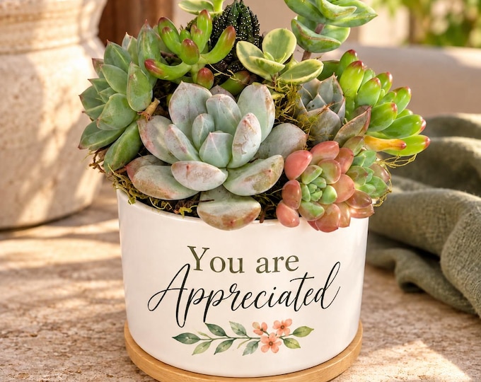 Employee Appreciation Gift Personalized Succulent Planter Coworker Staff Thank You Gift