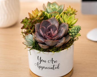 Appreciation Gift Personalized Succulent Desk Planter Custom Logo Photo Pot Coworker Employee Client Thank You