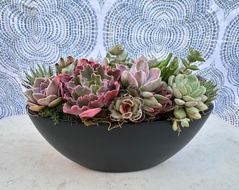 Succulent Table Centerpiece Live 13 Inch Succulent Arrangement Wedding Decor Gift for Plant Lover Easy Care Spring Home Display