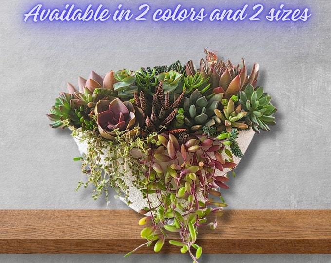Succulent Centerpiece Live Arrangement for Table Decor Gift for Her Housewarming Wedding Reception Drought Tolerant Easy Care Office Plant