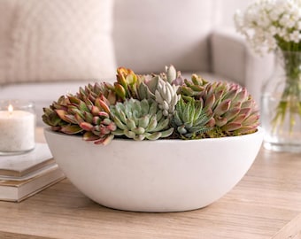 Large Succulent Centerpiece Table Arrangement In Oblong Bowl Statement Home Or Wedding Decor