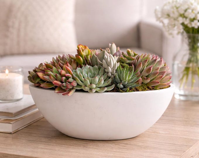 Large Succulent Centerpiece Table Arrangement In Oblong Bowl Statement Home Or Wedding Decor