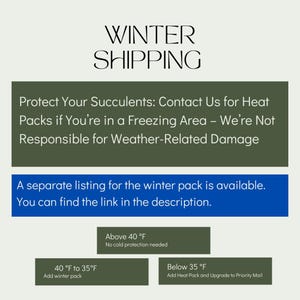 Puede incluir: Texto verde y azul sobre un fondo blanco con las palabras "Winter Shipping" en la parte superior. El texto a continuaci&oacute;n explica que se necesitan paquetes de calor para los pedidos que se env&iacute;an a &aacute;reas de congelaci&oacute;n. El texto tambi&eacute;n indica que hay una lista separada para el paquete de invierno disponible. La imagen tambi&eacute;n muestra un gr&aacute;fico con tres rangos de temperatura y los requisitos de env&iacute;o correspondientes. El gr&aacute;fico indica que no se necesita protecci&oacute;n contra el fr&iacute;o para temperaturas superiores a 40 grados Fahrenheit, se necesita un paquete de invierno para temperaturas entre 40 y 35 grados Fahrenheit, y se necesita un paquete de calor y correo prioritario para temperaturas inferiores a 35 grados Fahrenheit.